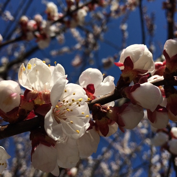 Meet your Posher - Picture 6 of 8